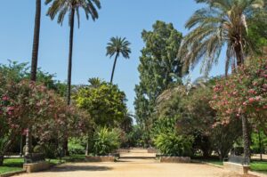 PAQUETE DE EXCURSIONES CLÁSICAS 1