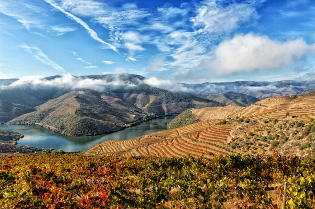 Valle del Duero en otoño