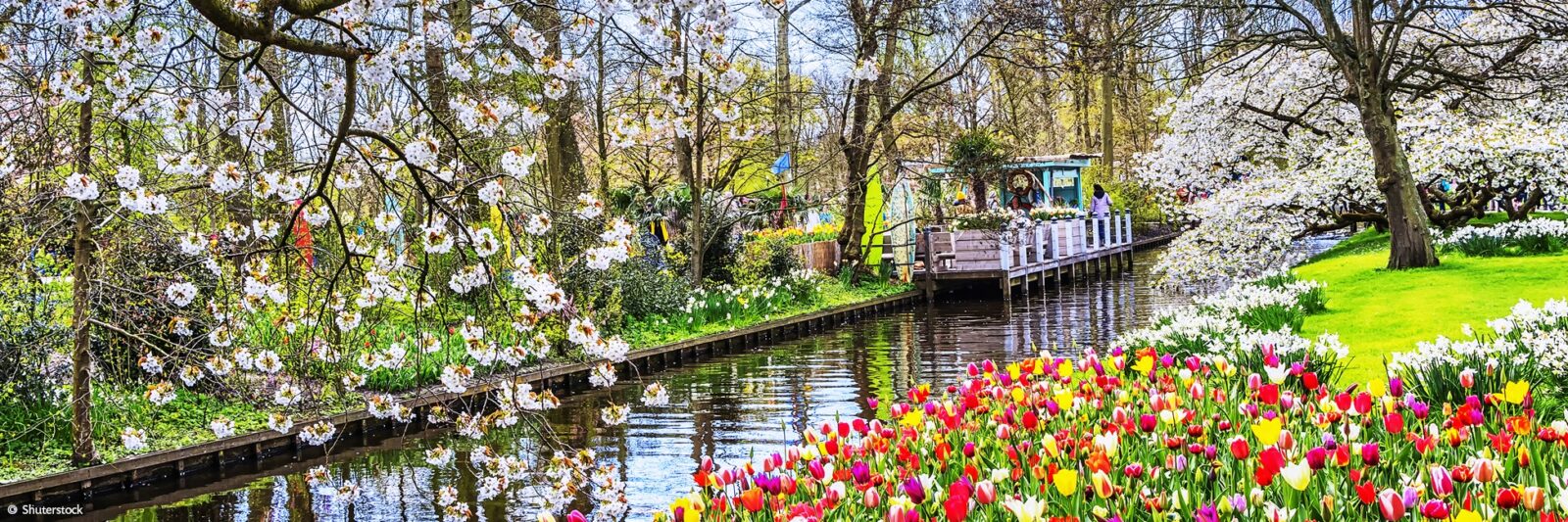 Escala del crucero Crucero por el Rin de Estrasburgo a Ámsterdam en ESTRASBURGO