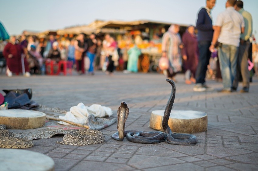 Paquete de Excursiones Clásicas Marrakech
