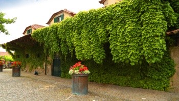 Dia Penafiel Y Quinta Da Aveleda