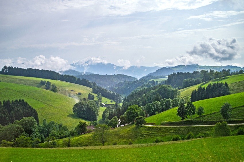 El Sendero De Las Cimas De La Selva Negra