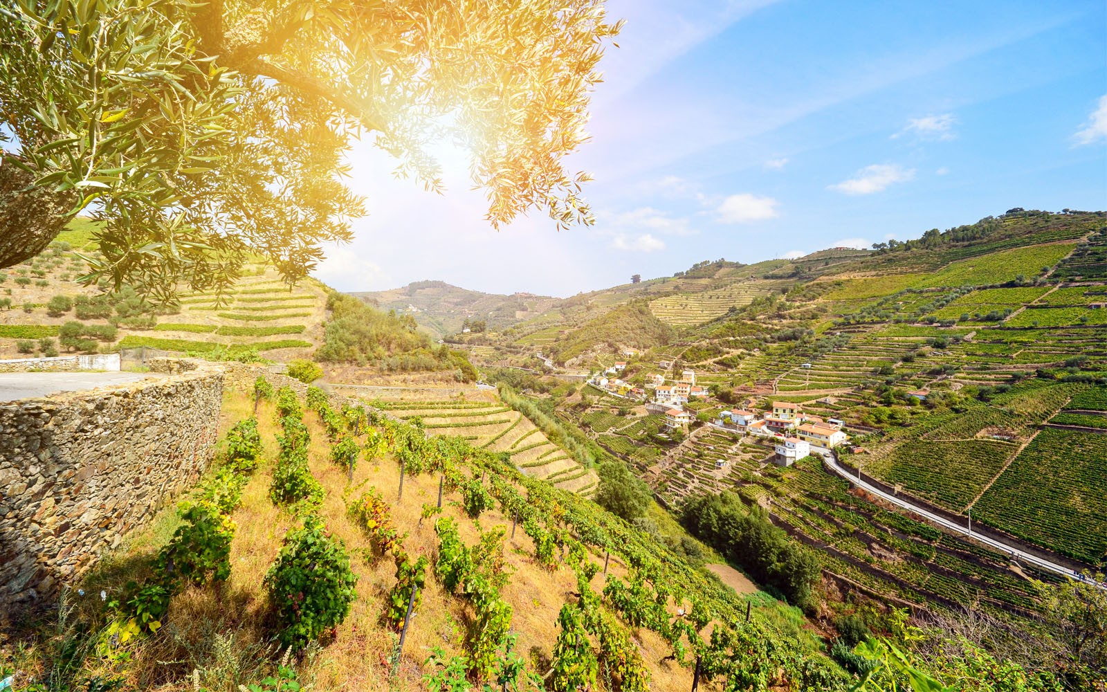 Escala del crucero El valle del Duero y Salamanca en Familia en REGUA (PESO DA REGUA)