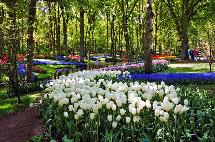 Paquete de Excursiones Activo ABE (con Keukenhof)
