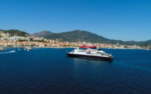 Opiniones cruceros fluviales
