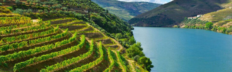 PortoDouro