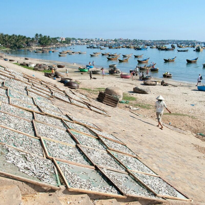 Cruceros de larga distancia en el Mekong: Vietnam y Camboya