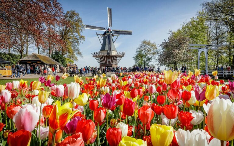 Cruceros en Holanda