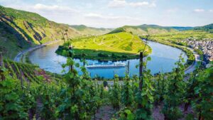 Opiniones cruceros fluviales