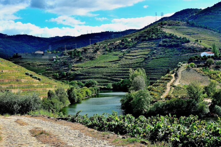 Senderismo al largo del Duero