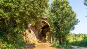 Excursión de Palamós, museo de la pesca y bodega