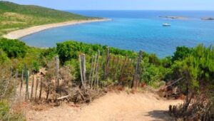 Excursión de Maquis, País de los aromas