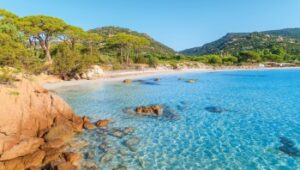 Traslado a la Playa Palombaggia