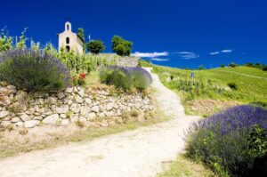 Tain l´Hermitage y bodega con cata de vinos