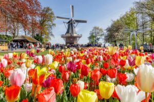 Parque floral del Keukenhof