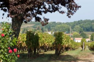 Pauillac y la ruta de los «Châteaux» del Medoc