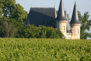 Excursión de Pauillac y de la ruta de los «Chateaux» del Medoc