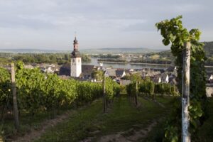 Paseo por el viñedo de Rudesheim