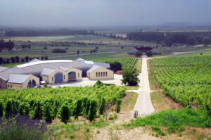 Bodega en Tokaj