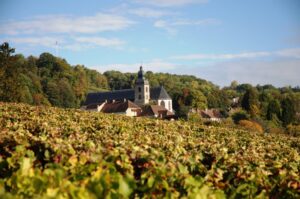 Ruta de los vinos y Colmar