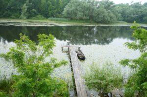 Excursión en el Parque de Lonjsko Polje