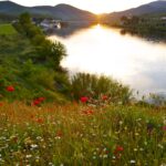 Régua – Barca d´Alva – Régua