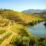Oporto – Pinhao - Oporto (Subida)