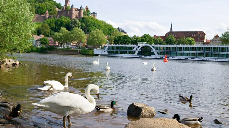 Crucero por 3 de los ríos más turísticos de Europa desde Amsterdam