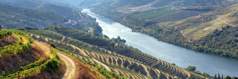 Crucero Oporto – Régua – Oporto (Navegación de bajada)