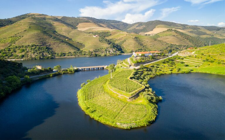 Crucero Oporto – Pinhao – Oporto (Navegación de subida)