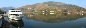 Opiniones cruceros fluviales
