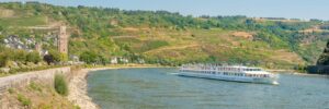 Opiniones cruceros fluviales