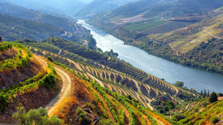 Alto Duero vista panoramica