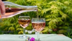 Excursion Les Cotes De Provence -CE_IND