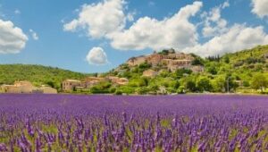 Senderismo Alpilles Et Baux De Provence