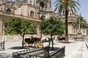 Visita Del Palacio De Las Duenas Y Sevilla Feria