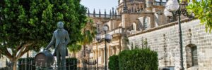 Visita de Jerez, espectáculo ecuestre y degustación de vinos en una bodega