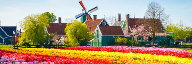 AAV_PP – Crucero fluvial por Holanda, país de los tulipanes
