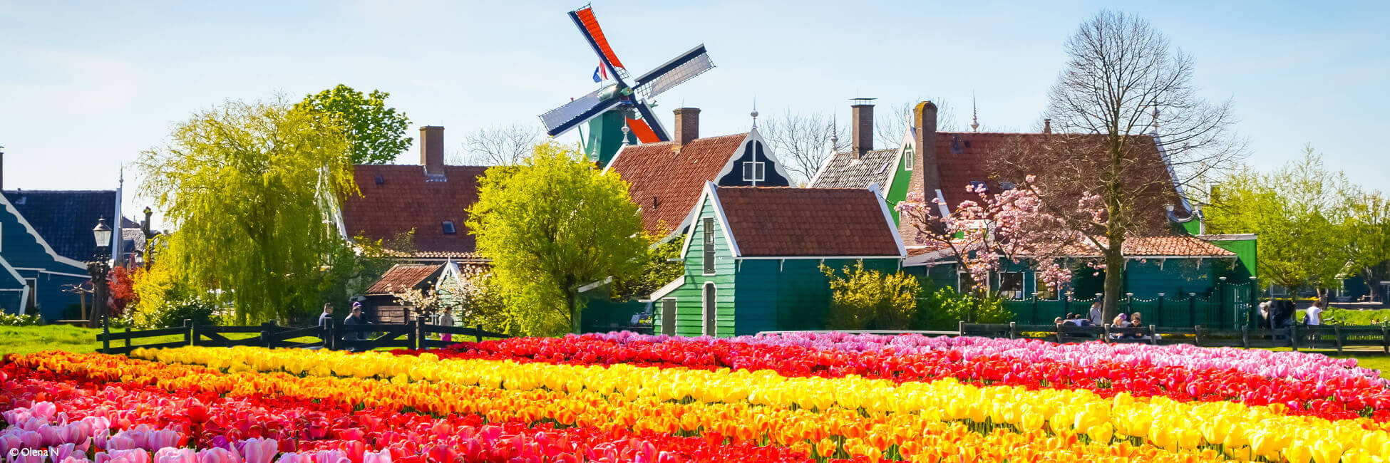 AAV_PP - Crucero fluvial por Holanda, país de los tulipanes