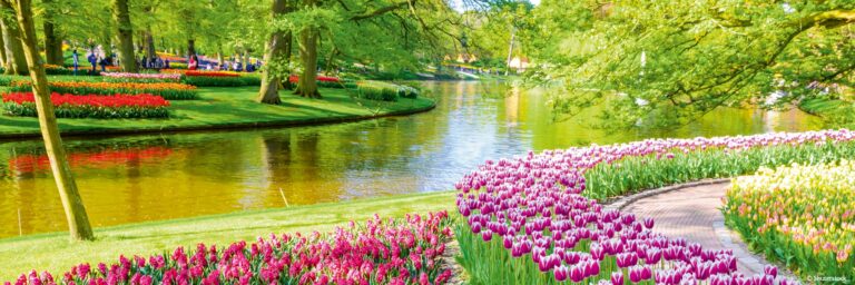 ANV_PP – Crucero fluvial por Holanda, país de los tulipanes