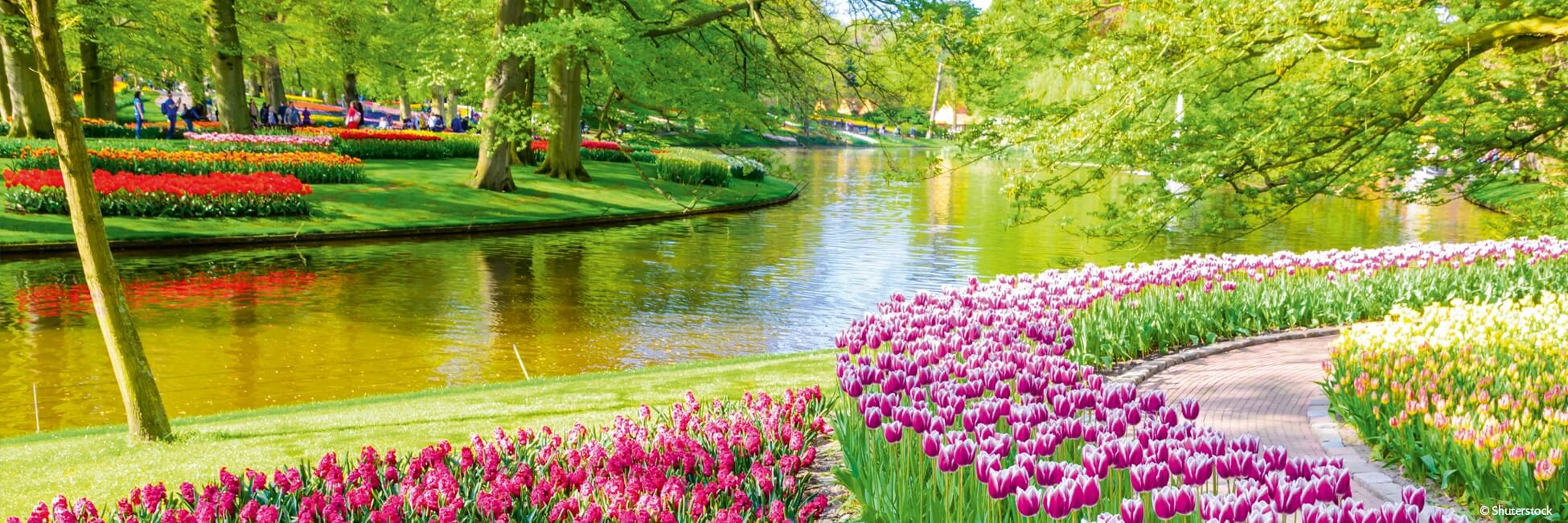 ANV_PP - Crucero fluvial por Holanda, país de los tulipanes