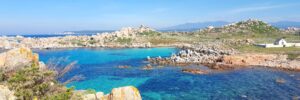 Opiniones cruceros fluviales