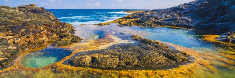 TLZ_PP – Crucero en el archipiélago de las Canarias, el dulzor de una eterna primavera