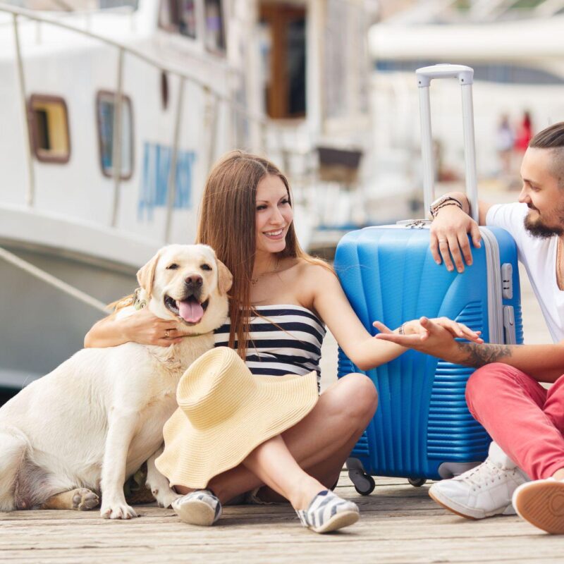 barcos-fluviales-mascotas