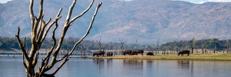 11A_PP – África austral a bordo del African Dream: experiencia única a los confines del Mundo