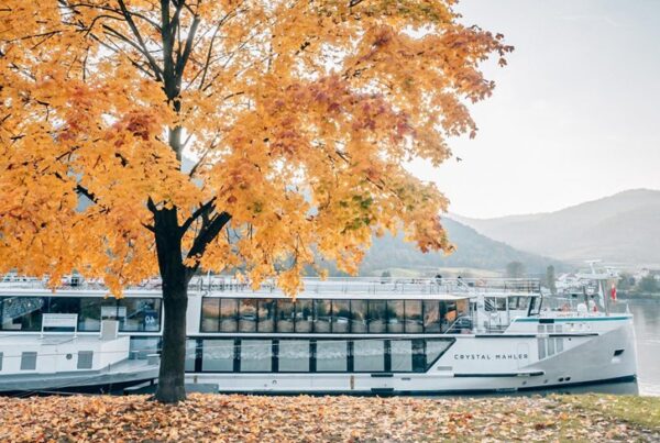 crucero-otono