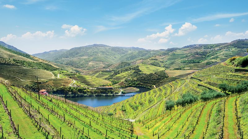 El valle del Duero, una naturaleza preservada – ROP_PP