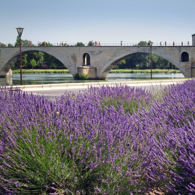 Embarque en Aviñón: el inicio de una travesía de lujo por el Ródano