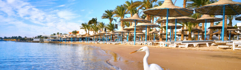 Barcos Fluviales por el Nilo