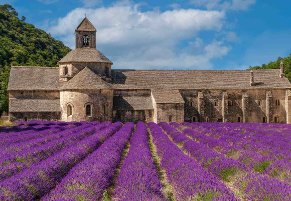 Provenza Francia